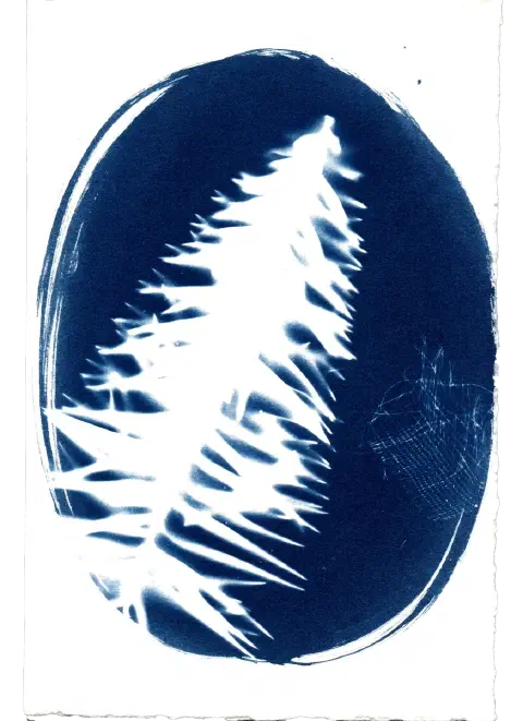 Paper coated with oval brush strokes, dried pine leaf, and fine netting. An exercise in balancing finer details against a more dominant object.
