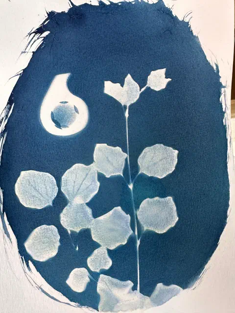 Leaves alongside the shaddow of a solid wooden block in the shape of the number 6.