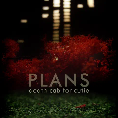 A square album cover for Plans by Death Cab for Cutie. The cover art is a close-up shot of an anemone-like creature in an empty fishbowl with light reflecting over it.