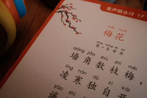 A close up of a page of Chinese text. If you look closely at the page you can see it is overlaid with a grid of vary fine dots. These dots are barely visible at normal viewing distance.