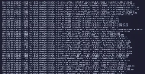 A screenshot showing web server access logs and a string of attempts to access resources that would typically not be published; .get, .env, etc.