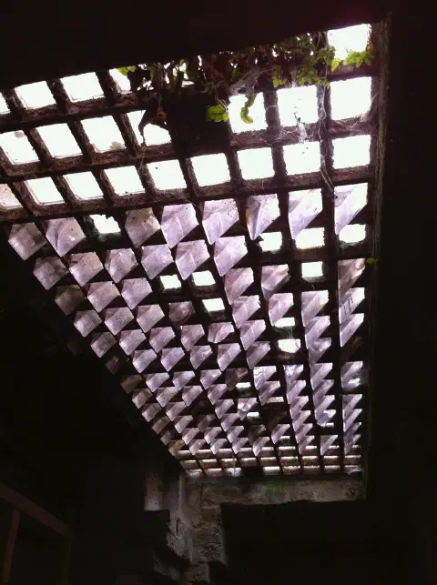 A photo taken in the dark basement of an art gallery, looking up at the street. A grid of square holes in the ceiling of the basement allows light in from the street above.