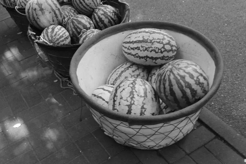 A black and white photo showing three baskets of watermellons lined up along the edge of a street in Tianjin (天津), China.