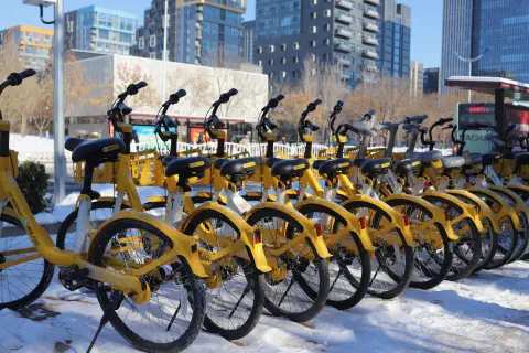 A row of identical yellow rental bikes are lined up on a snow covered street. In the background a series of high-rise residetntial buildings.