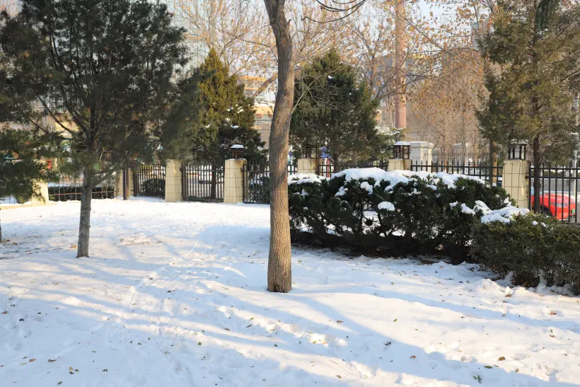 A snow covered garden in a residential compound in Beijing.