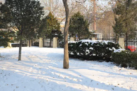 A snow covered garden in a residential compound in Beijing.