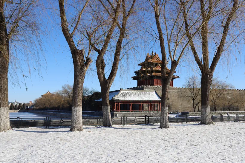 A photograph looking through trees onto the north-west corner of the Forbidden City in Beijing. The frozen moat is just visible before the city walls. The ground before the moat is completely covered in snow.
