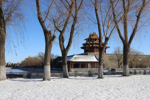 A photograph looking through trees onto the north-west corner of the Forbidden City in Beijing. The frozen moat is just visible before the city walls. The ground before the moat is completely covered in snow.