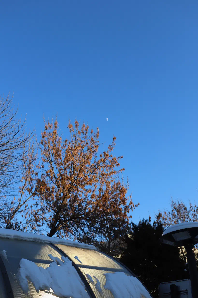A half moon in an otherwise blue sky. In the foreground, snow remains on the roof of a perspex shelter.