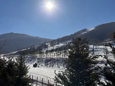 A photo of the ski slops at Thaiwoo in Beijing. The sun is bright in the sky, mountains in the distance. In the foreground a couple of tall trees line the edge of the ski slope.
