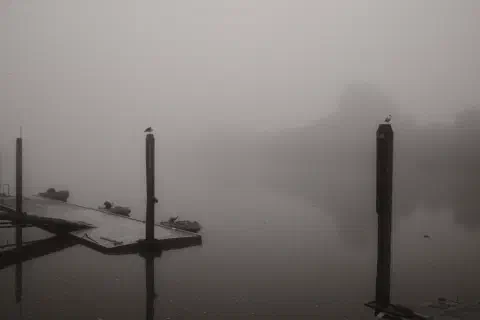 A black and white photo in dense fog. The photo shows a river, with a jetty in the foreground. Through the fog the outline of trees can be seen on the far bank.