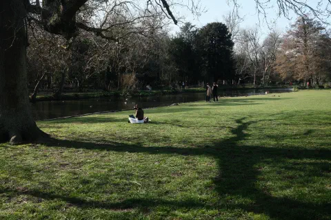 A person sits on the grass headphones on, focussed on their laptop.