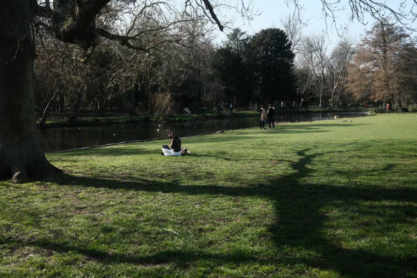 A person sits on the grass headphones on, focussed on their laptop.