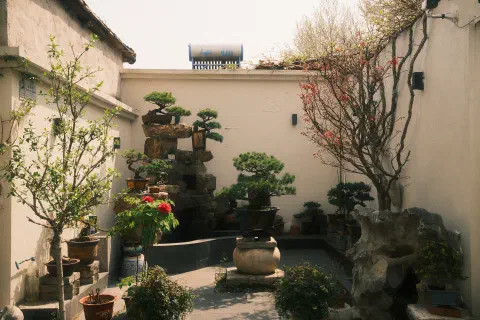 a courtyard in Yangzhou, small bonsai trees and plants break up the concrete lined space