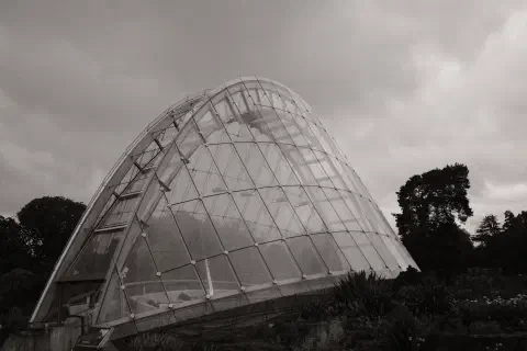 A black and white photo of Alpine House at Kew Gardens, the narrow semicircular building is made of glass and steel.