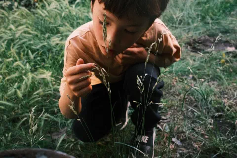 A young boy kneels down, holding his hand to a blade of grass, a ladybird climbs from the grass onto his hand.